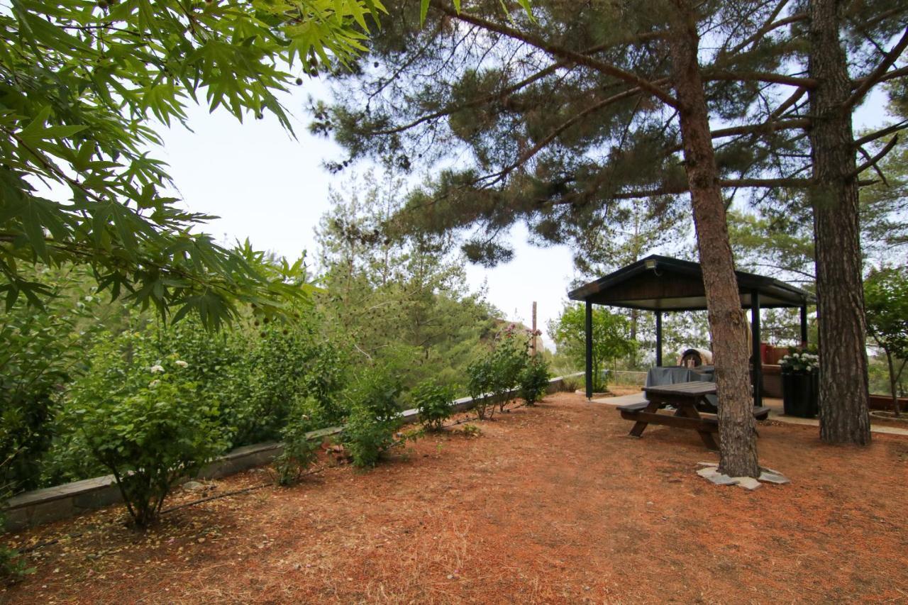 Phaedrus Living: Forest View Luxury Villa Chantara Foini Экстерьер фото