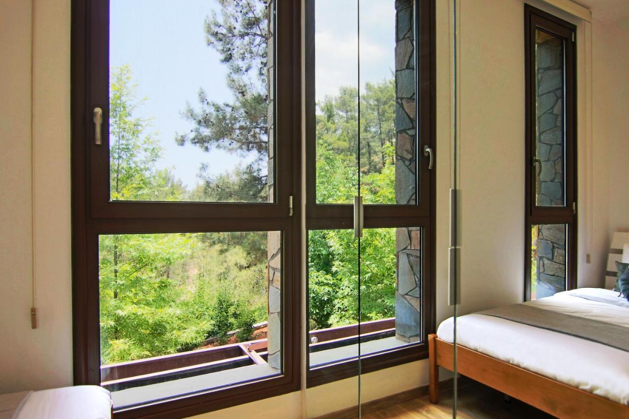 Phaedrus Living: Forest View Luxury Villa Chantara Foini Экстерьер фото